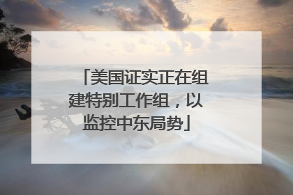 美国证实正在组建特别工作组，以监控中东局势